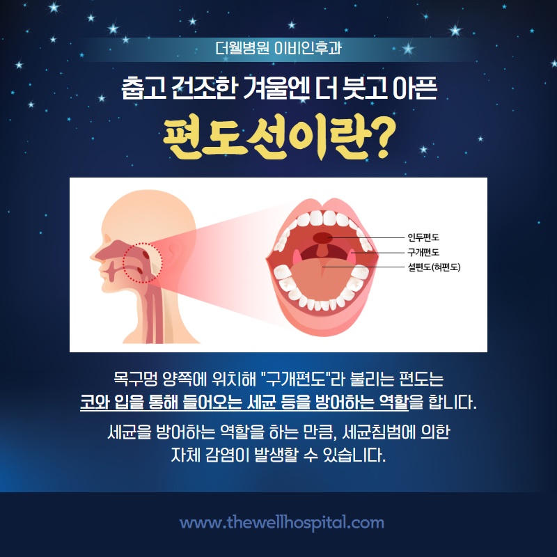 건조한 겨울에 더 붓고 아픈 편도선! (2/9)
