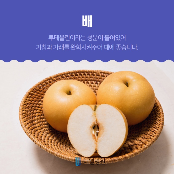 편도 부었을 때 먹으면 좋은음식 5가지! (2/11)