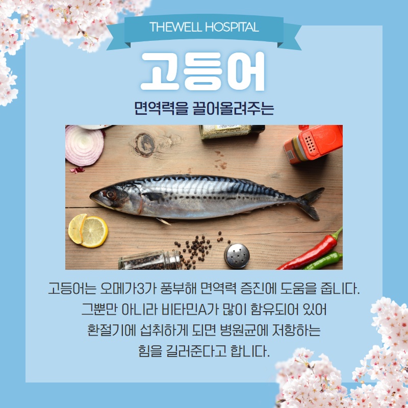 면역력을 높이는 음식 7가지! (7/13)